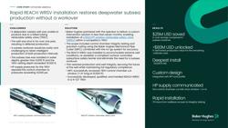 Rapid-installation-REACH-WRSV-GOM-cs