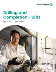 Egypt-DCF-lab-capabilities-bro