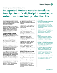 MAS Leucipa Case Study