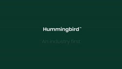 Hummingbird teaser animation