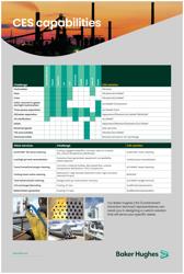 Contaminant-Extraction-Services_CES-poster-grph