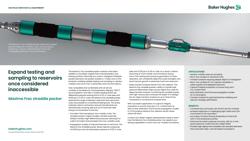 Maxima-Frac-straddle-packer-slsh