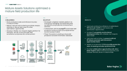 MAS Leucipa Case Study - Condensed