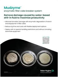 Mudzyme-wall-posters-30x40