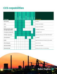 CES capabilities