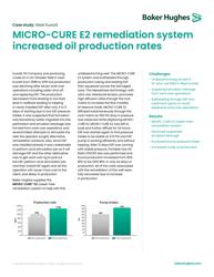 MICRO-CURE UG102-increased-oil-production-kuwait-cs