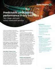 TRU-Steer-ultimate-RSS-slsh